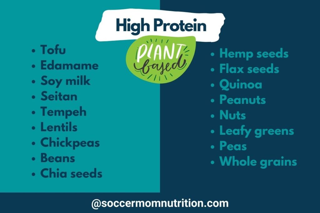 high protein vegan snacks list, plant based